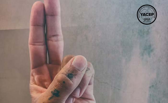 Mudras and Mantras: Unlocking the Subtle Power Within