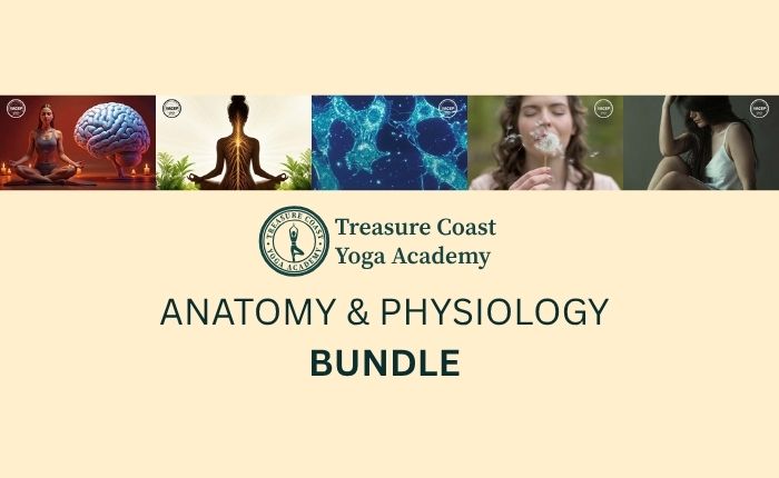 Anatomy and Physiology