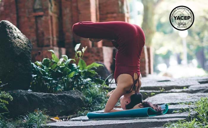 From Asana to Awareness: Integrating the Eight Limbs Into Practice