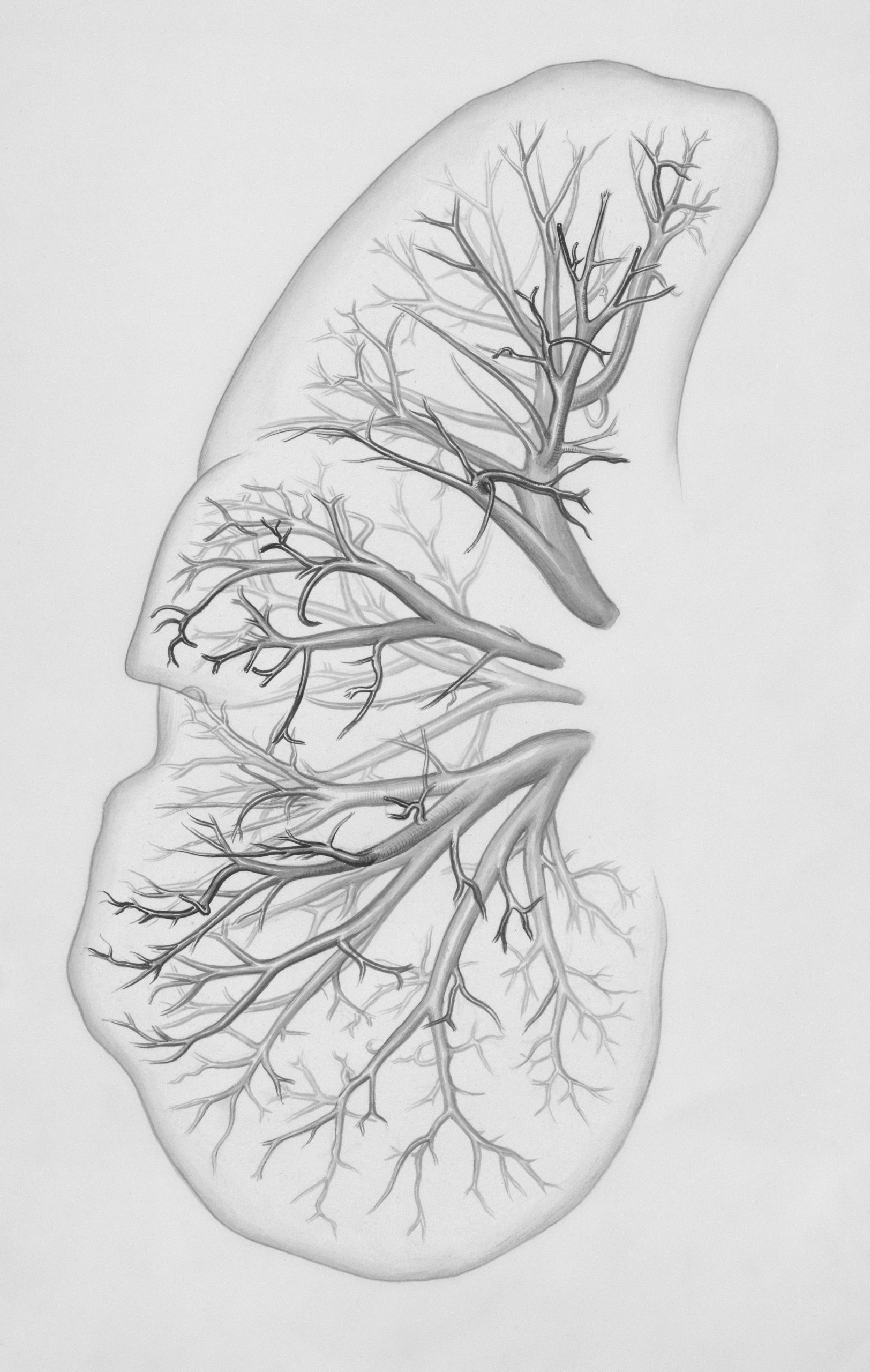 Brain-Boosting Breathwork