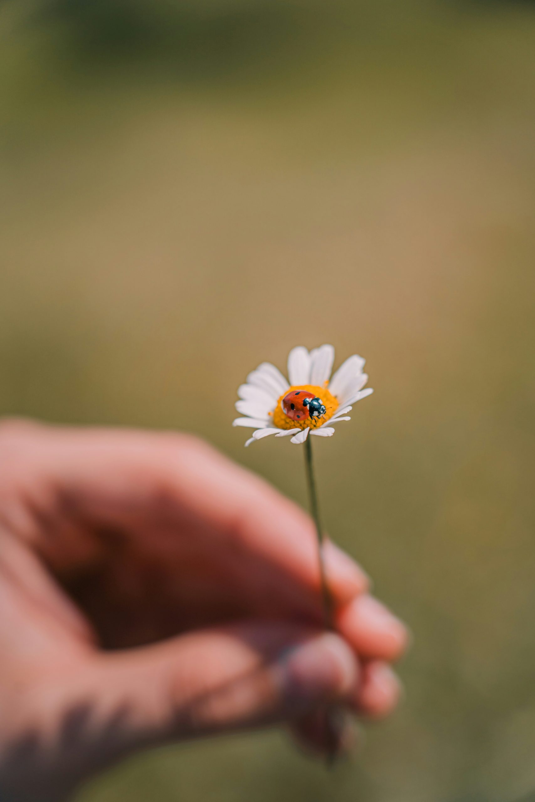 Gratitude as Medicine: Tools for Healing and Growth