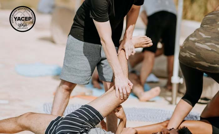 The Modern Mentor: Coaching, Feedback, and Client Care for Teachers