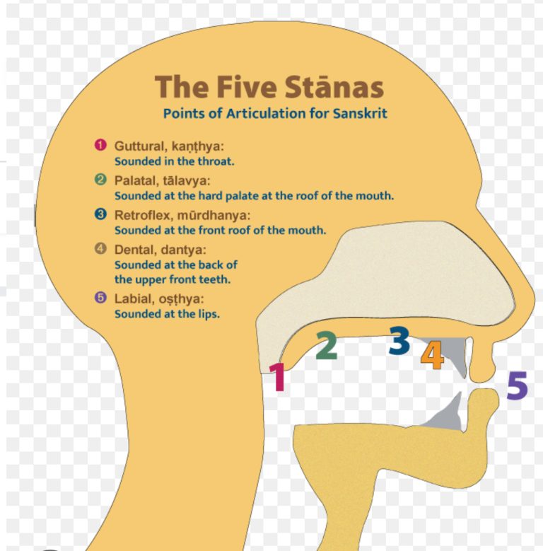 Chanting the Yoga Sūtras: 17 Sutra Teachings in Sound & Sense