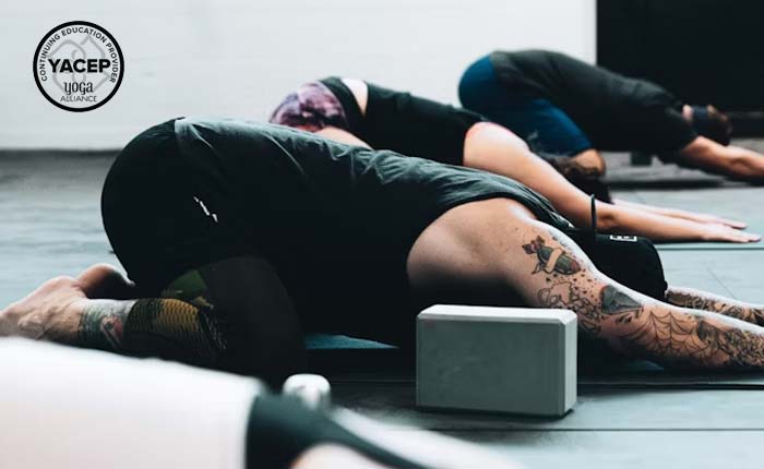 Roots and Lineage: The Real History of Yoga Beyond the Studio