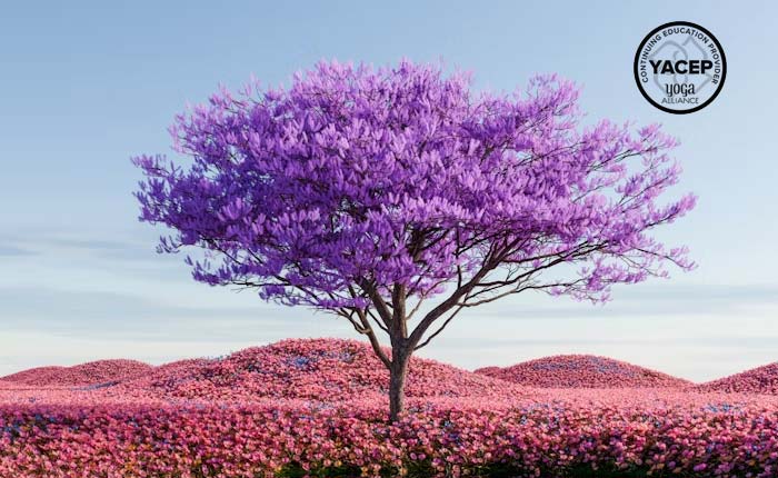 Stillness Speaks: Guiding Transformational Meditation